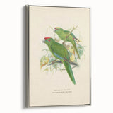 Vintage Animal Art: Parrot Illustration Art Print