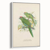 Vintage Animal Art: Parrot Illustration Art Print