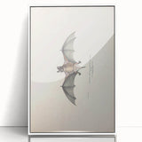 Vintage Animal Art: Murine Bat Illustration Art Prints