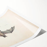Vintage Animal Art: Murine Bat Illustration Art Prints