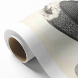 Vintage Animal Art - Retro White-Backed Vulture Illustration