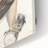 Vintage Animal Art - Retro White Dotted Eagle Illustration