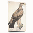 Vintage Animal Art - Retro White Dotted Eagle Illustration