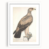 Vintage Animal Art - Retro White Dotted Eagle Illustration