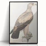 Vintage Animal Art - Retro White Dotted Eagle Illustration