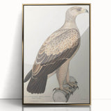 Vintage Animal Art - Retro White Dotted Eagle Illustration