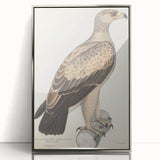 Vintage Animal Art - Retro White Dotted Eagle Illustration