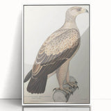 Vintage Animal Art - Retro White Dotted Eagle Illustration