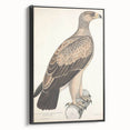 Vintage Animal Art - Retro White Dotted Eagle Illustration