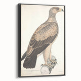 Vintage Animal Art - Retro White Dotted Eagle Illustration