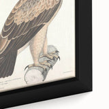 Vintage Animal Art - Retro White Dotted Eagle Illustration