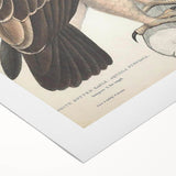 Vintage Animal Art - Retro White Dotted Eagle Illustration