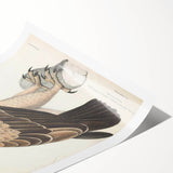 Vintage Animal Art - Retro White Dotted Eagle Illustration