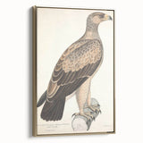 Vintage Animal Art - Retro White Dotted Eagle Illustration