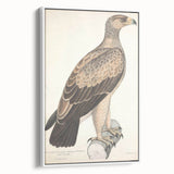Vintage Animal Art - Retro White Dotted Eagle Illustration