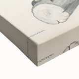 Vintage Animal Art - Retro White Bandied Eagle Illustration