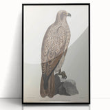Vintage Animal Art - Retro Lined Fishing Eagle Illustration
