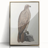 Vintage Animal Art - Retro Lined Fishing Eagle Illustration