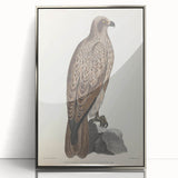 Vintage Animal Art - Retro Lined Fishing Eagle Illustration