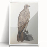 Vintage Animal Art - Retro Lined Fishing Eagle Illustration