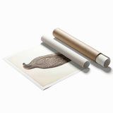 Vintage Animal Art - Retro Lined Fishing Eagle Illustration