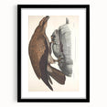 Vintage Animal Art - Retro Plain Fishing Eagle Illustration