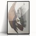 Vintage Animal Art - Retro Plain Fishing Eagle Illustration