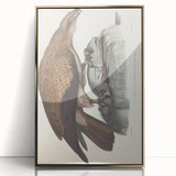Vintage Animal Art - Retro Plain Fishing Eagle Illustration