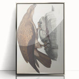 Vintage Animal Art - Retro Plain Fishing Eagle Illustration