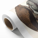 Vintage Animal Art - Retro Plain Fishing Eagle Illustration