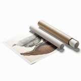 Vintage Animal Art - Retro Plain Fishing Eagle Illustration