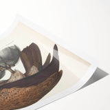 Vintage Animal Art - Retro Plain Fishing Eagle Illustration