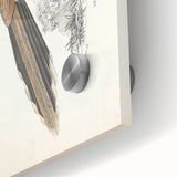 Vintage Animal Art: Centropus Cuckoo Bird Illustration Print