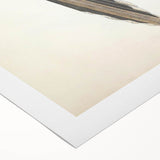 Vintage Animal Art: Centropus Cuckoo Bird Illustration Print