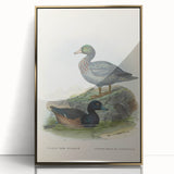 Vintage Animal Art: Duck Illustration Art Print