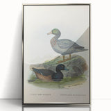 Vintage Animal Art: Duck Illustration Art Print