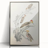 Vintage Animal Art - Retro Woodpecker Illustration Art Prints for Home