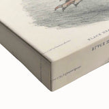 Vintage Animal Art - Black Headed Pheasant Illustration Print