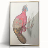 Vintage Animal Art - Bengal Horned Pheasant Illustration Print