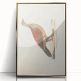 Vintage Animal Art - Curled Tail Pheasant Illustration Print