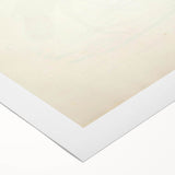 Vintage Animal Art - Curled Tail Pheasant Illustration Print