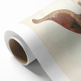 Vintage Animal Art - Curled Tail Pheasant Illustration Print