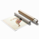 Vintage Animal Art - Curled Tail Pheasant Illustration Print