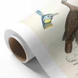 Vintage Animal Art - Javanese Peafowl & Concentric Pheasant Illustration Print