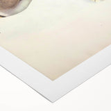 Vintage Animal Art - Quail Illustration Print