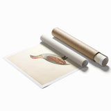 Vintage Animal Art - Olive Partridge Illustration Print