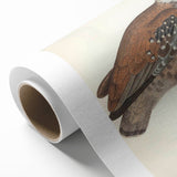 Vintage Animal Art - Edwards Bustard Illustration Print