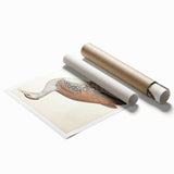 Vintage Animal Art - Edwards Bustard Illustration Print