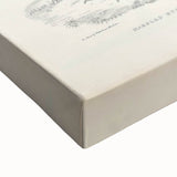 Vintage Animal Art: Marbled Bustard Illustration