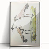 Vintage Animal Art – Spur-Winged Plover Illustration Wall Print